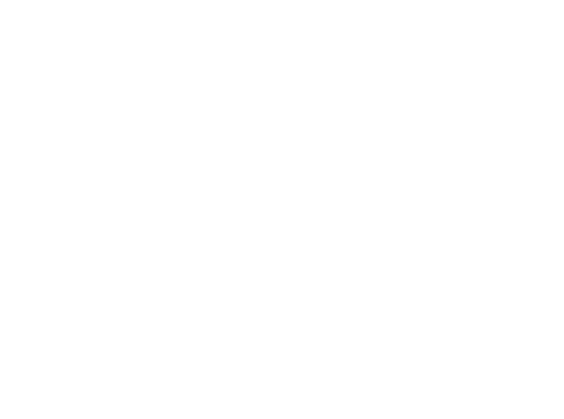 CT ECO logo